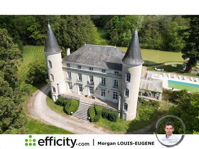 Château - 1 555 m² - 30 pièces
