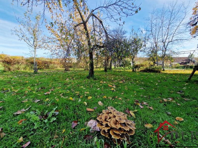 Maison en pierre - 165 m² - 6 pièces