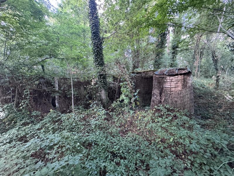 Terrain - 50 154 m²