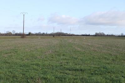 Terrain constructible - 2 919 m²