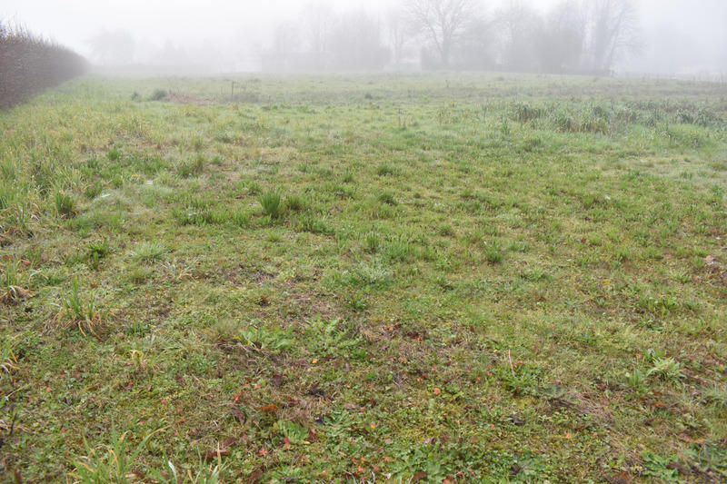 Terrain agricole - 7 179 m²