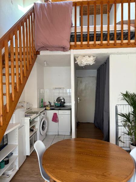 Studio - 31 m² - 1 pièce