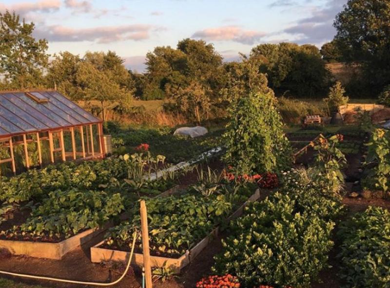 Exposition : Découvrons le potager