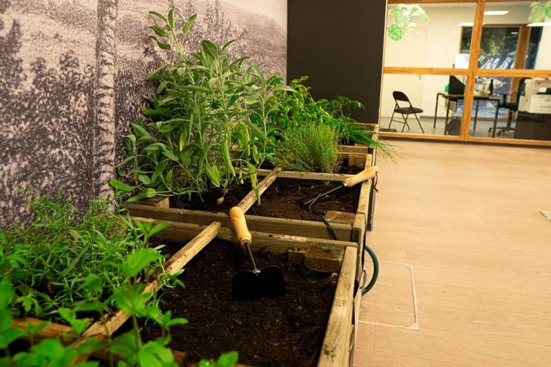 Studio - 18 m² - 1 pièce