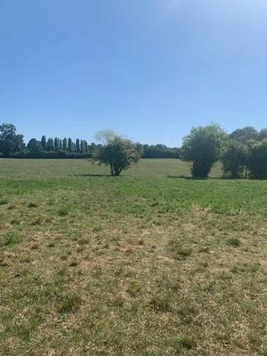 Maison - 175 m² - 6 pièces