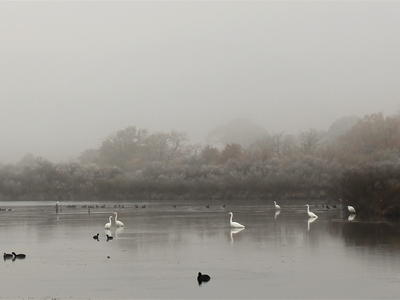 Le littoral au coeur de l'hiver