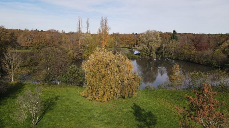 Terrain de loisirs - 15 555 m²