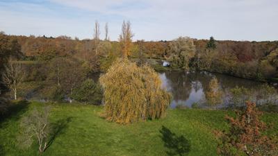 Terrain de loisirs - 15 555 m²