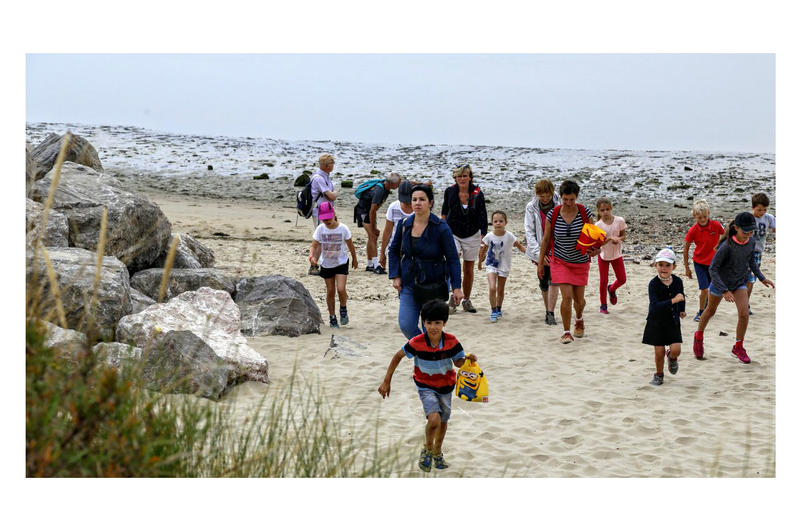 Atelier enfant : la laisse de mer, un trésor déposé sur la plage