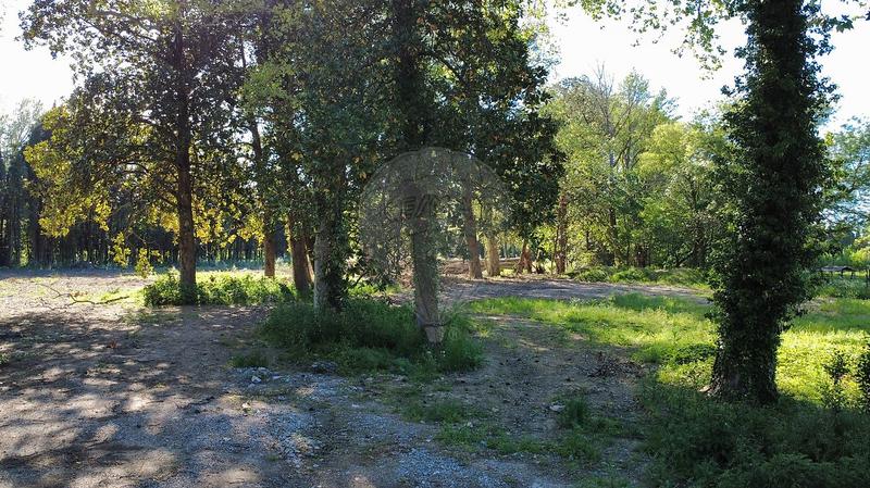 Bureau - 3 600 m² - 45 pièces