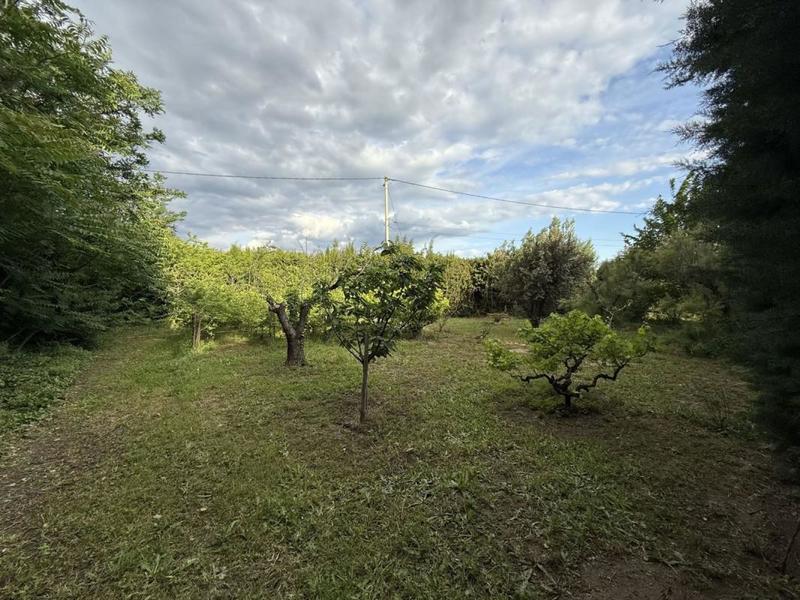 Propriété - 223 m² - 6 pièces