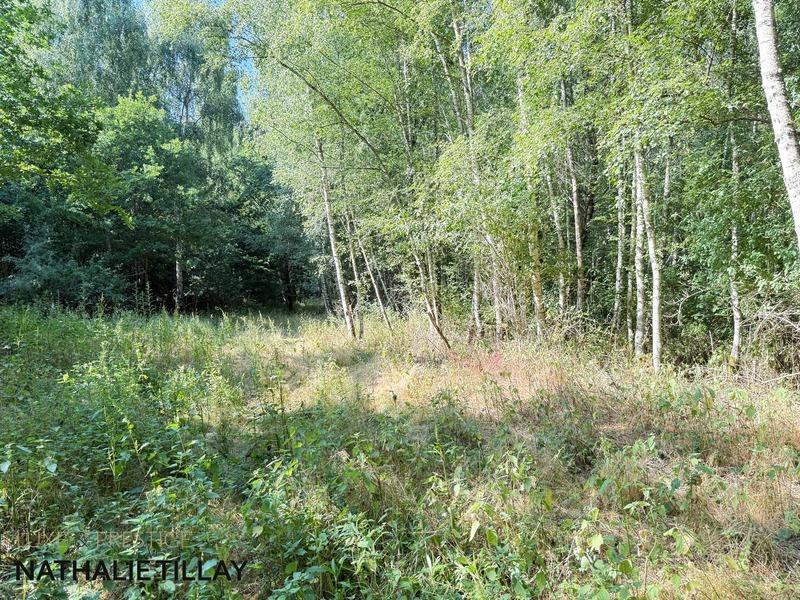 Maison - 260 m² - 7 pièces