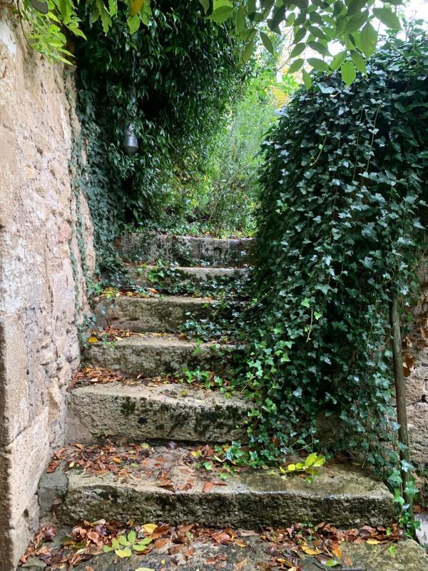 Maison en pierre - 220 m² - 5 pièces