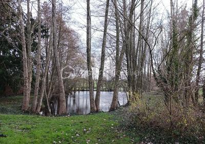 Terrain de loisirs - 2 900 m²