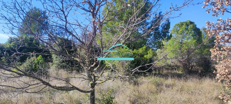 Terrain agricole - 21 172 m²