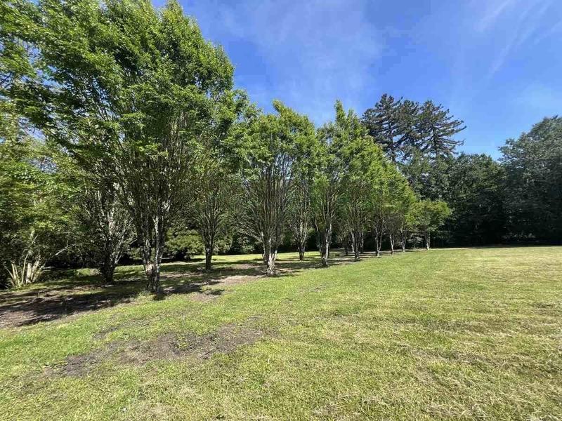 Manoir - 600 m² - 12 pièces