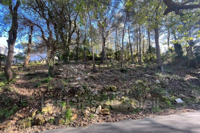 Terrain - 21 500 m²