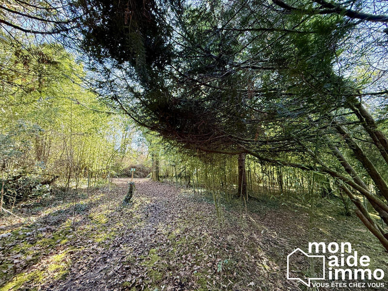 Maison ancienne - 98 m² - 4 pièces