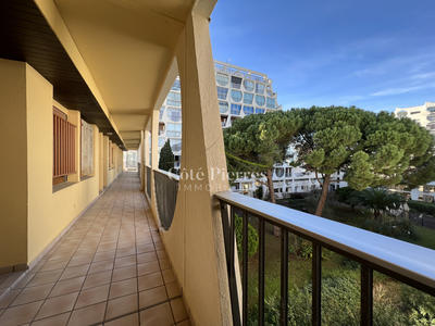 Appartement - 36 m² - 1 pièce