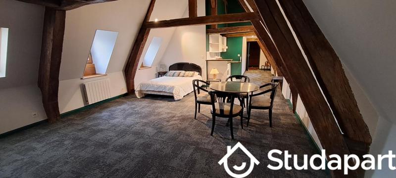 Appartement - 56 m² - 1 pièce