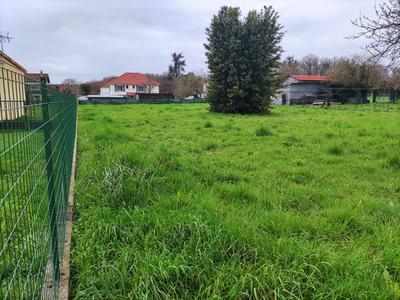 Terrain constructible - 1 885 m²