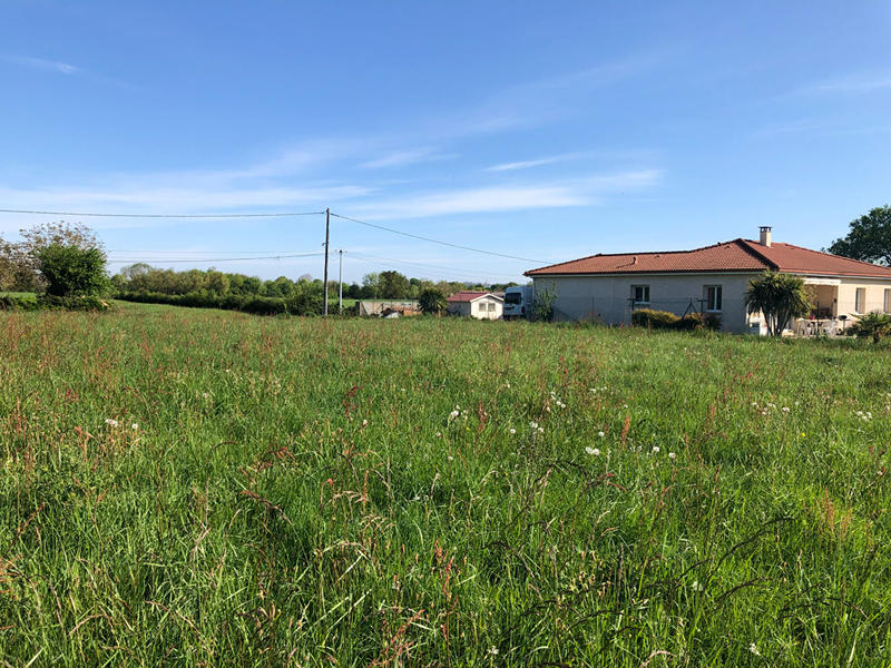 Terrain - 1 255 m²