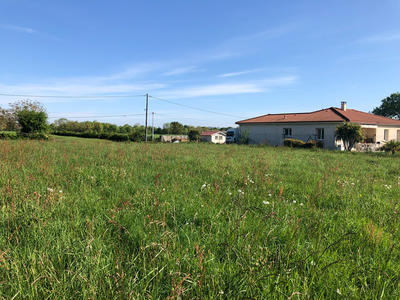 Terrain - 1 255 m²