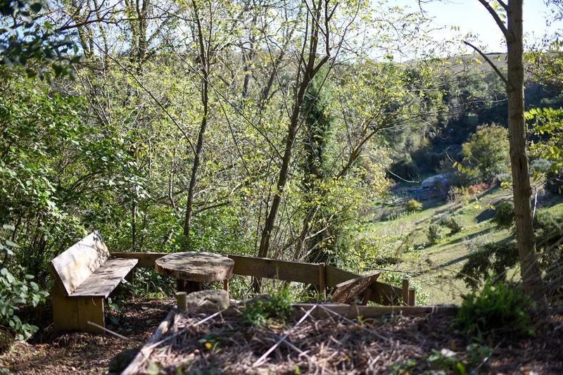 Propriété - 1 721 m² - 30 pièces