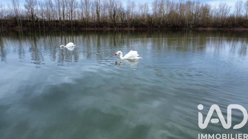 Terrain - 125 000 m²