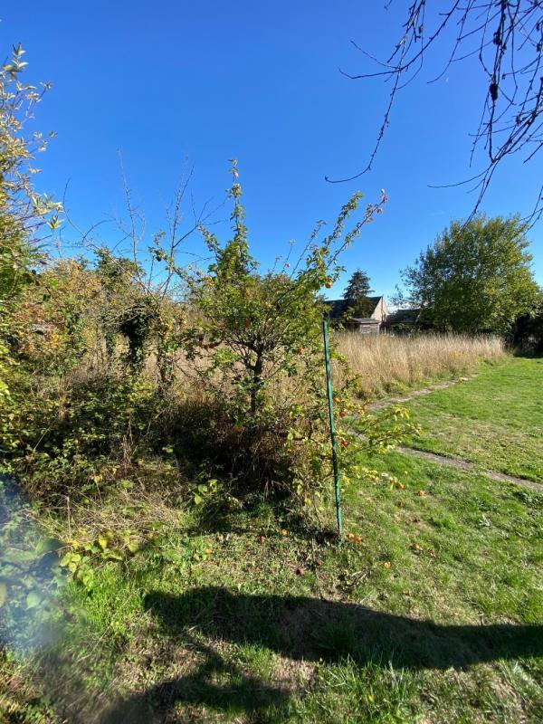 Terrain constructible - 735 m²