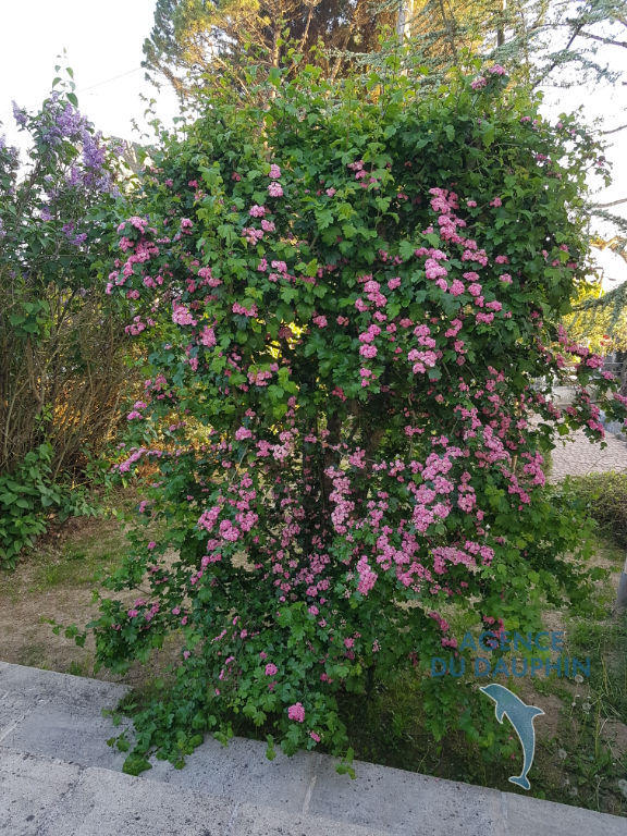 Maison - 127 m² - 5 pièces