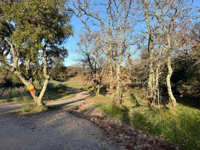 Terrain de loisirs - 5 270 m²