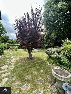 Appartement - 169 m² - 6 pièces