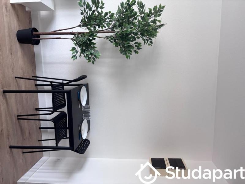 Appartement - 19 m² - 1 pièce