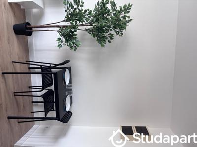 Appartement - 19 m² - 1 pièce