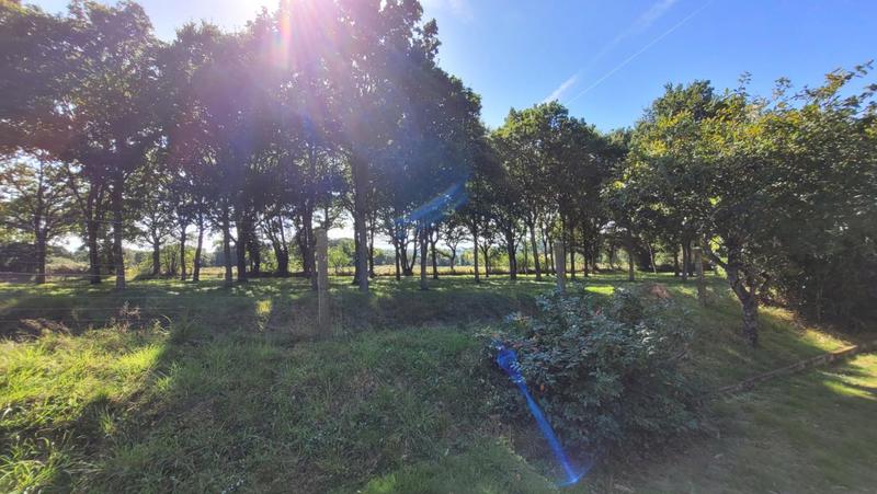 Maison - 116 m² - 5 pièces