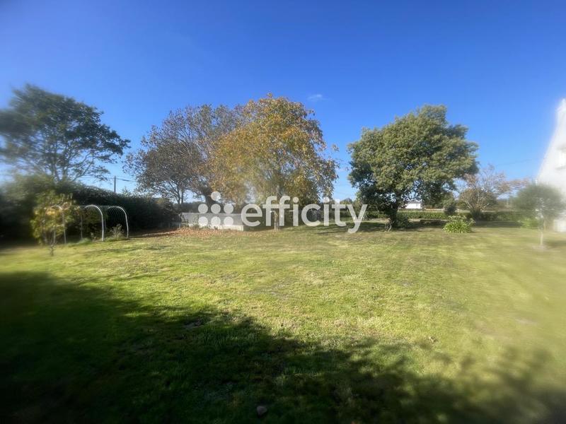 Pavillon - 150 m² - 6 pièces