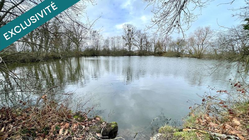 Terrain - 10 201 m²