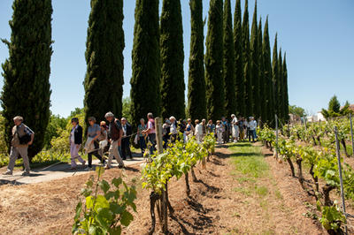 Vignobles château Rouffiac, vins de Cahors