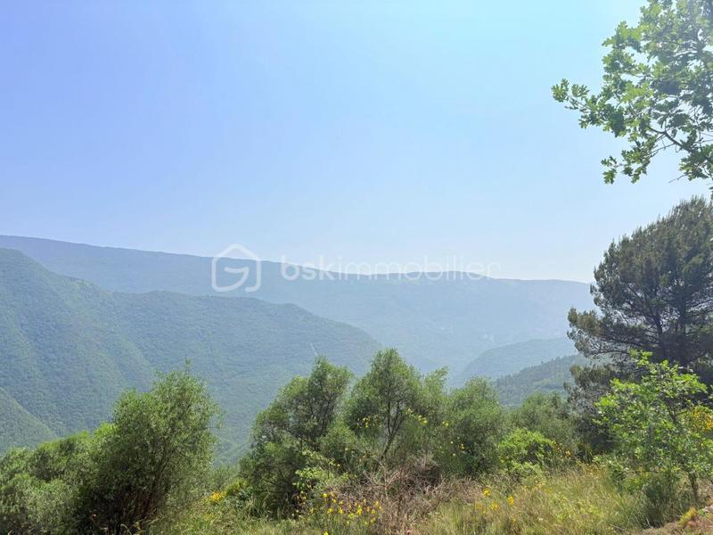 Terrain - 1 562 m²
