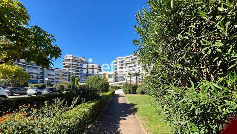 Appartement ancien - 34 m² - 1 pièce