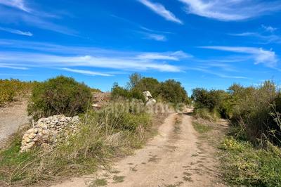 Terrain agricole - 1 200 m²