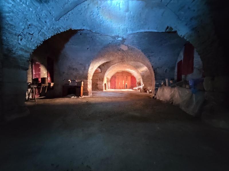 Viager - Propriété - 407 m² - 16 pièces