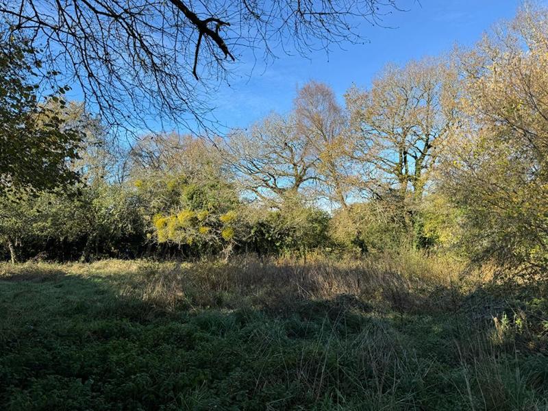 Propriété - 120 m² - 3 pièces