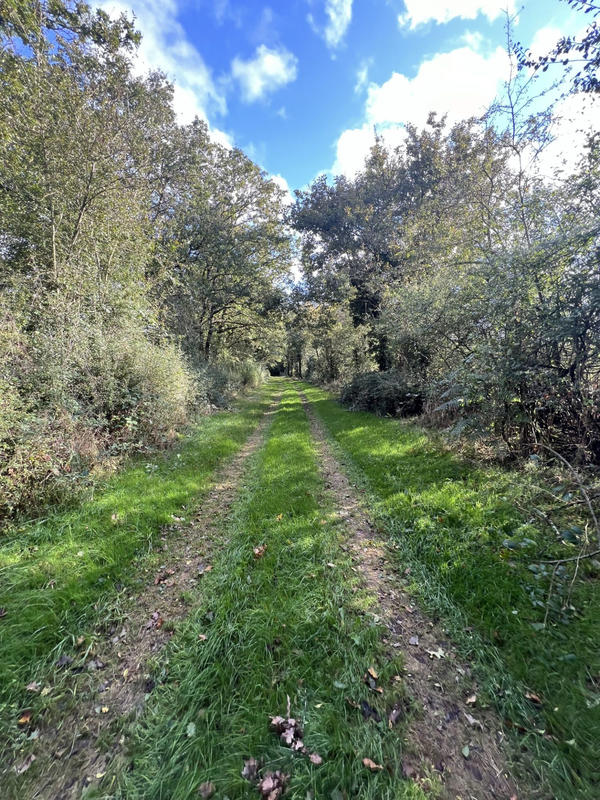 Maison - 165 m² - 9 pièces