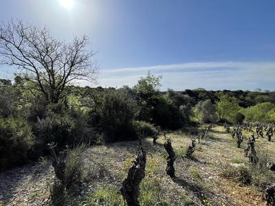 Terrain - 48 670 m²