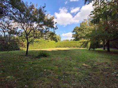 Terrain de loisirs - 1 290 m²