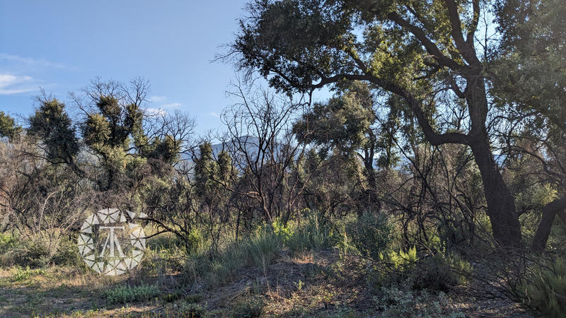 Terrain agricole - 8 038 m²