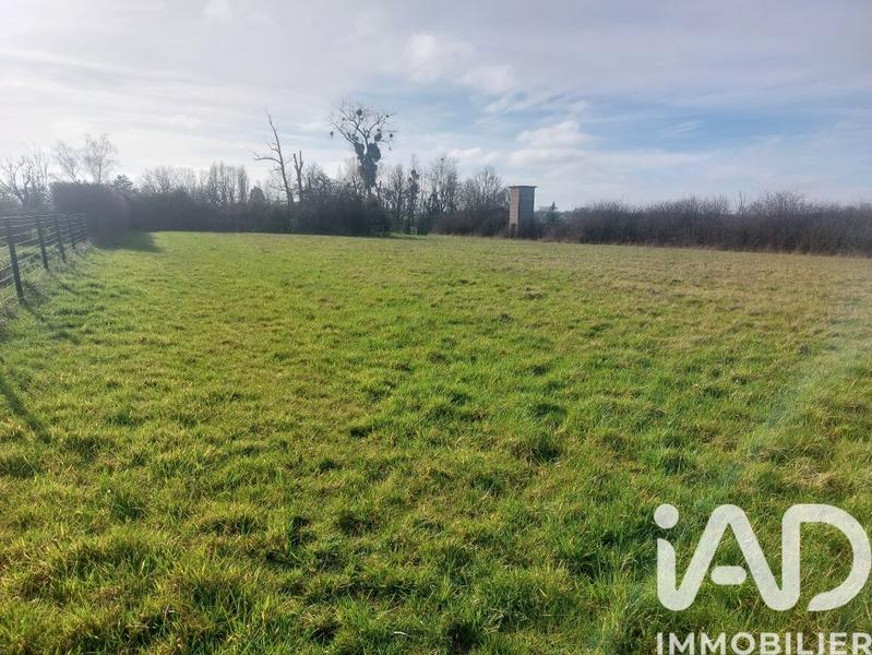 Terrain - 13 515 m²