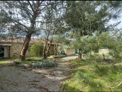 Maison - 250 m² - 8 pièces